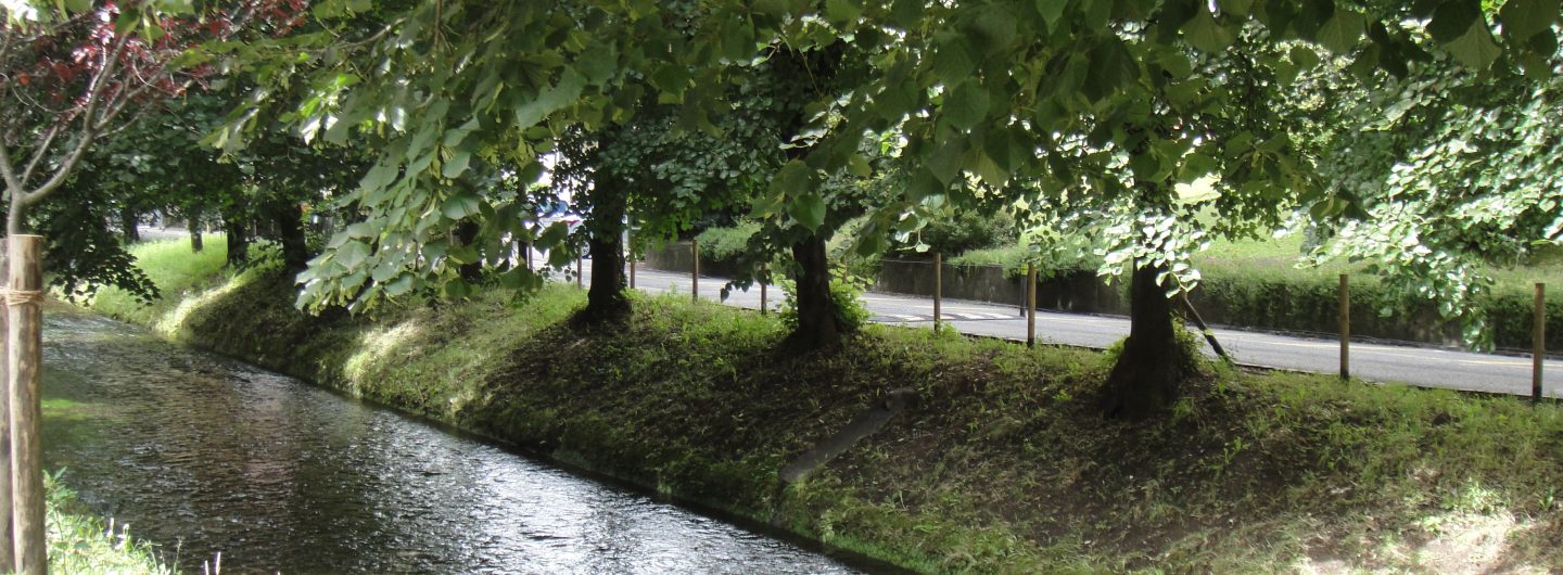 為什麼要為「 財富自由 。提早退休 」 FIRE 做準備?