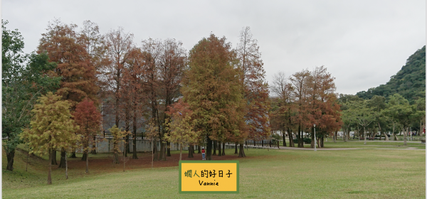 退休後的耶誕季節,想起的日文歌,和發現台灣的秋色