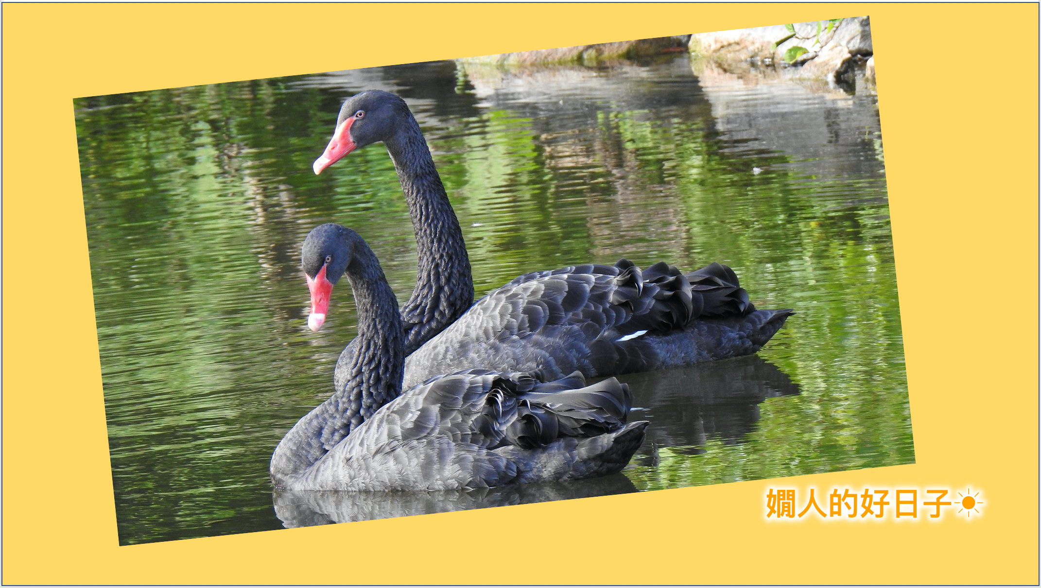 股市大跌，退休投資該怎麼辦 ？我正在做這3件事