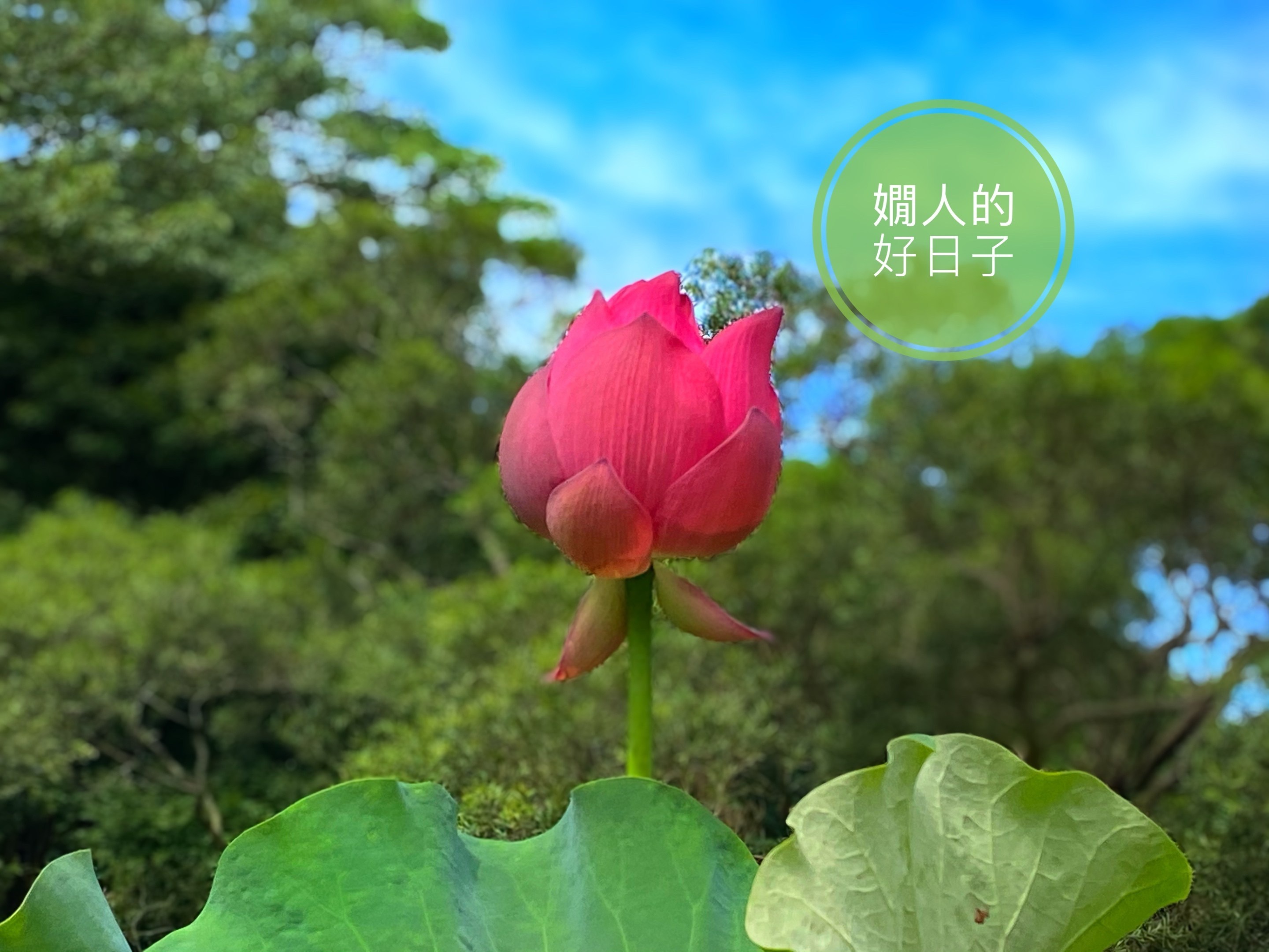 退休前、退休後 ,性格會不會改變?