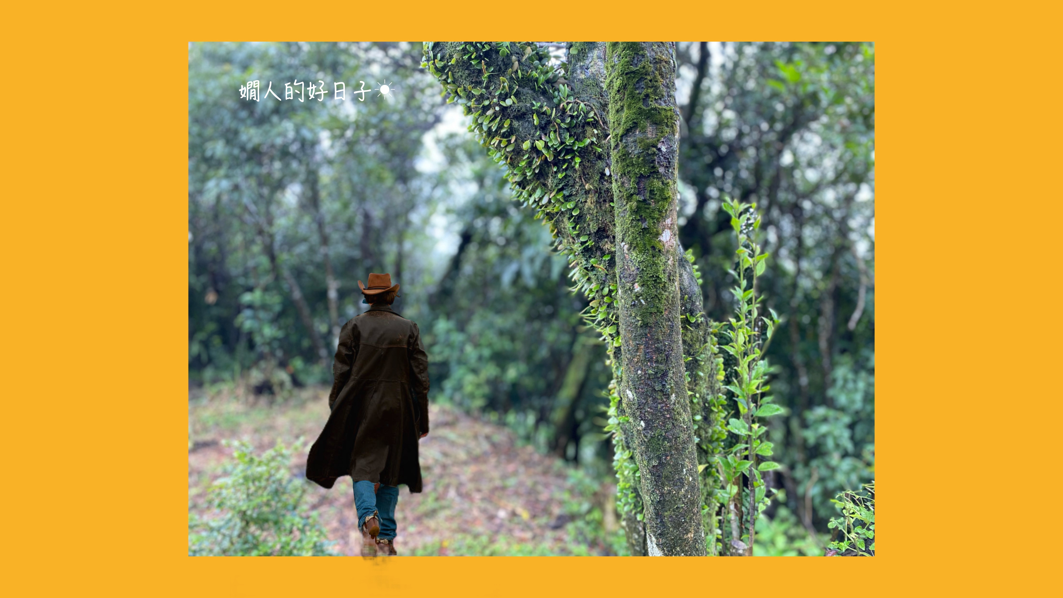 股票飆、利率低，我正在面臨的 傳統退休資產配置 的4個難題