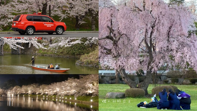 日本北東北賞櫻 ：從盛岡出發、不提行李追到櫻花的行程計畫